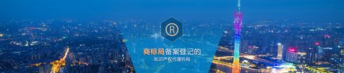软件作品版权代办与商标申请代理 知识产权代理公司如何重塑数字时代的创新保护